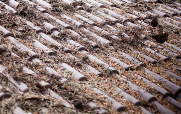 Bexfield roof cleaning companies